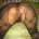 PussyFartLover's avatar