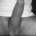 3121_z40's avatar
