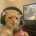 BigBossNakedSkanks's avatar