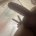 sensualsnob's avatar