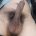 DicksxxxM's avatar
