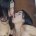 Allkindsofgirls698's avatar