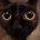 alterergo's avatar