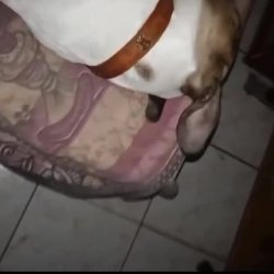 Granny woke up before I could cum and almost caught me #aZG7fBdk