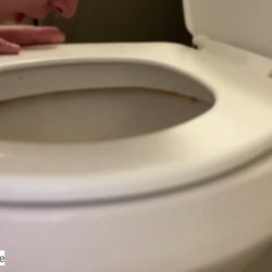 Slave lick toilet #9KShXdqN