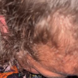 Aboriginal Aussie slut throats girthy cock #JbcnhNvv
