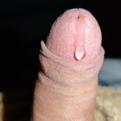My cock is ready to cum ❤️ #5Rjh7shd